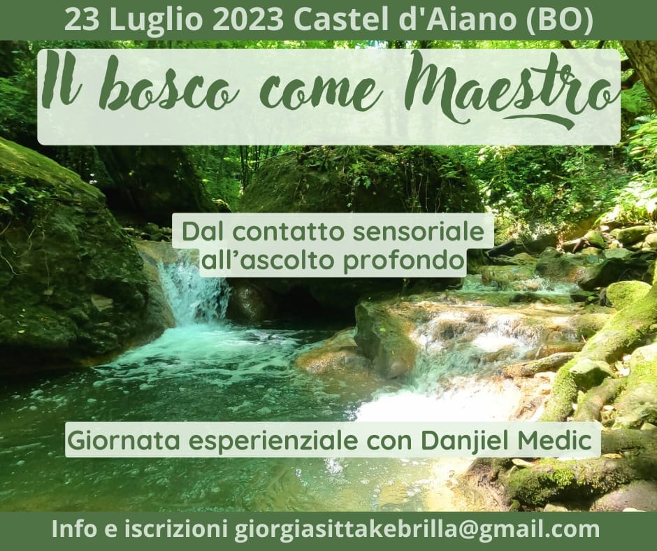 Castel d'Aiano: "Il Bosco come Maestro"