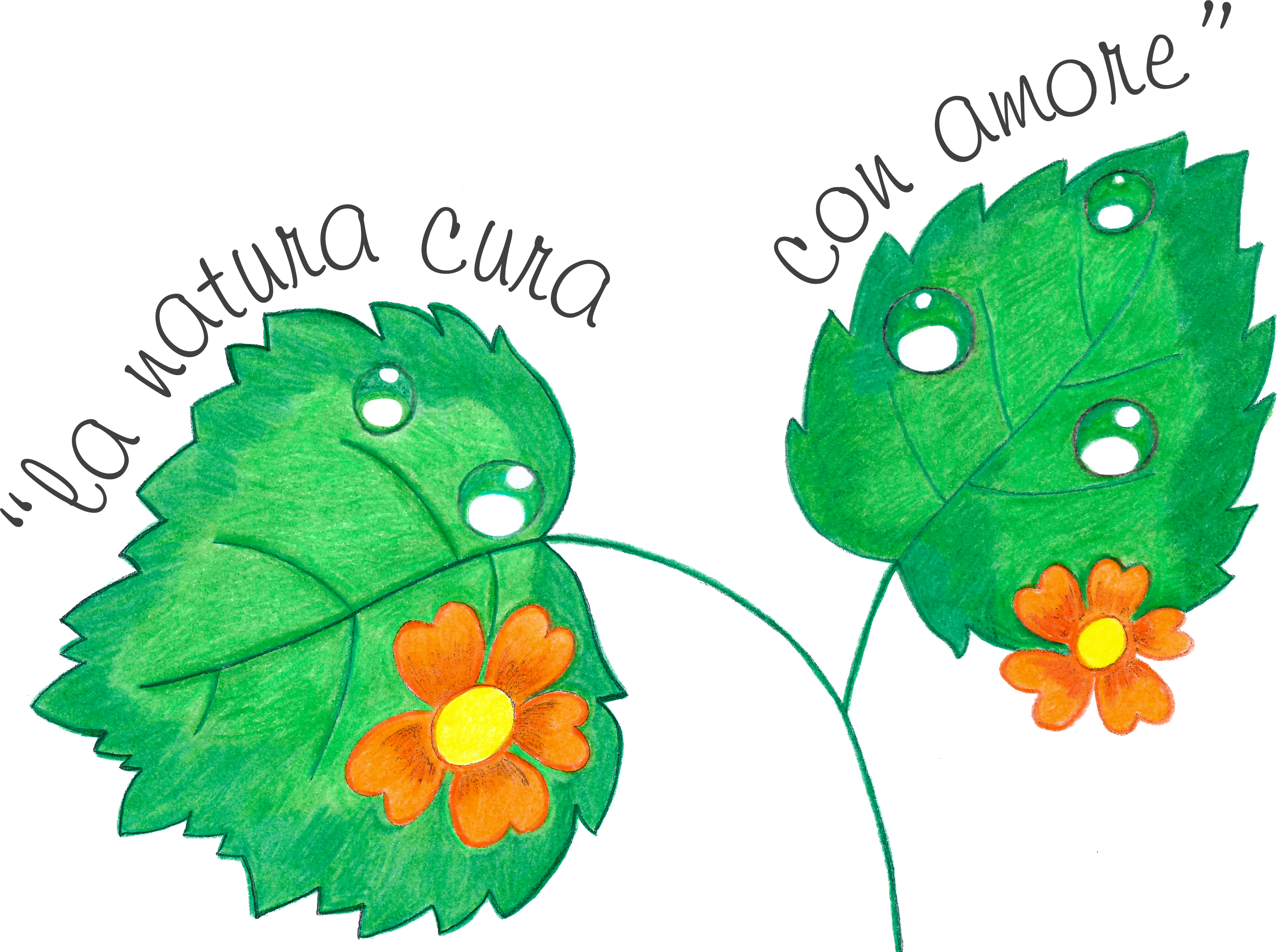 Dalla natura con amore: "La cura per il nostro benessere: disintossicazione e detossificazione"