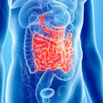 Intestino: tutto quello che avreste sempre voluto sapere!
