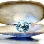 Verona. "I Talenti: la manifestazione dell'Anima"